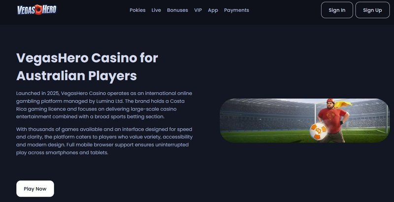 Guide to vegashero casino Guide to vegashero casino
